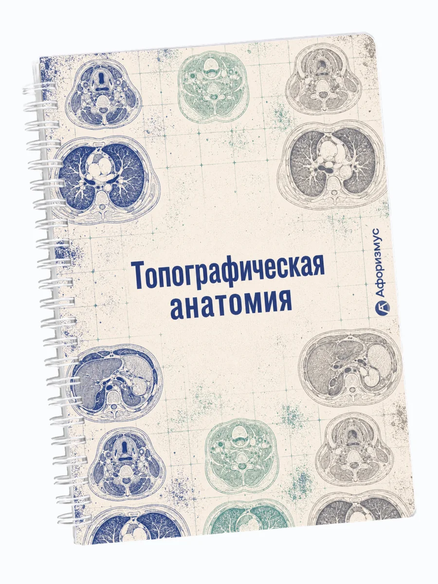 Ежедневник недатированный Топографическая анатомия