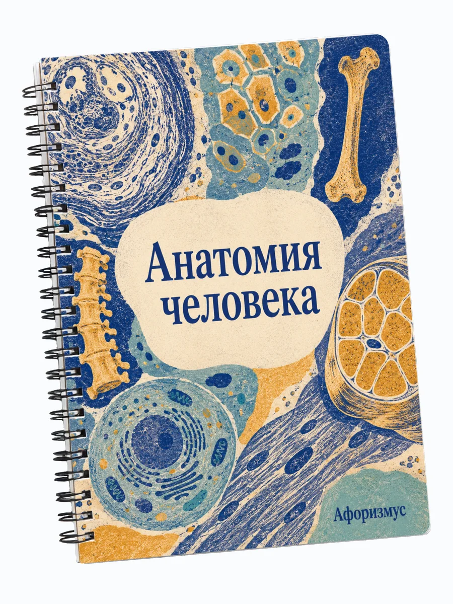 Тетрадь Анатомия человека с мотивирующими цитатами