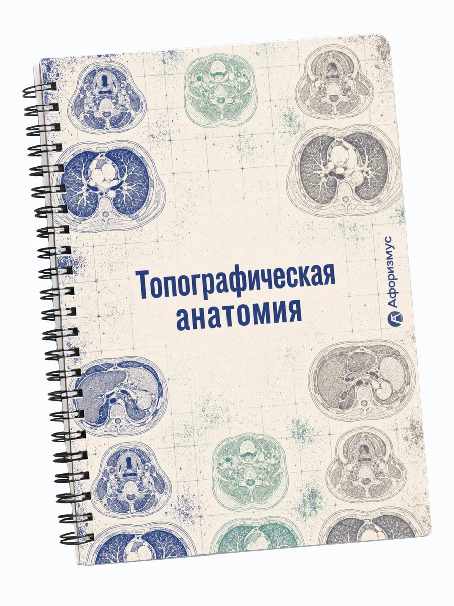Тетрадь Анатомия с мотивирующими цитатами