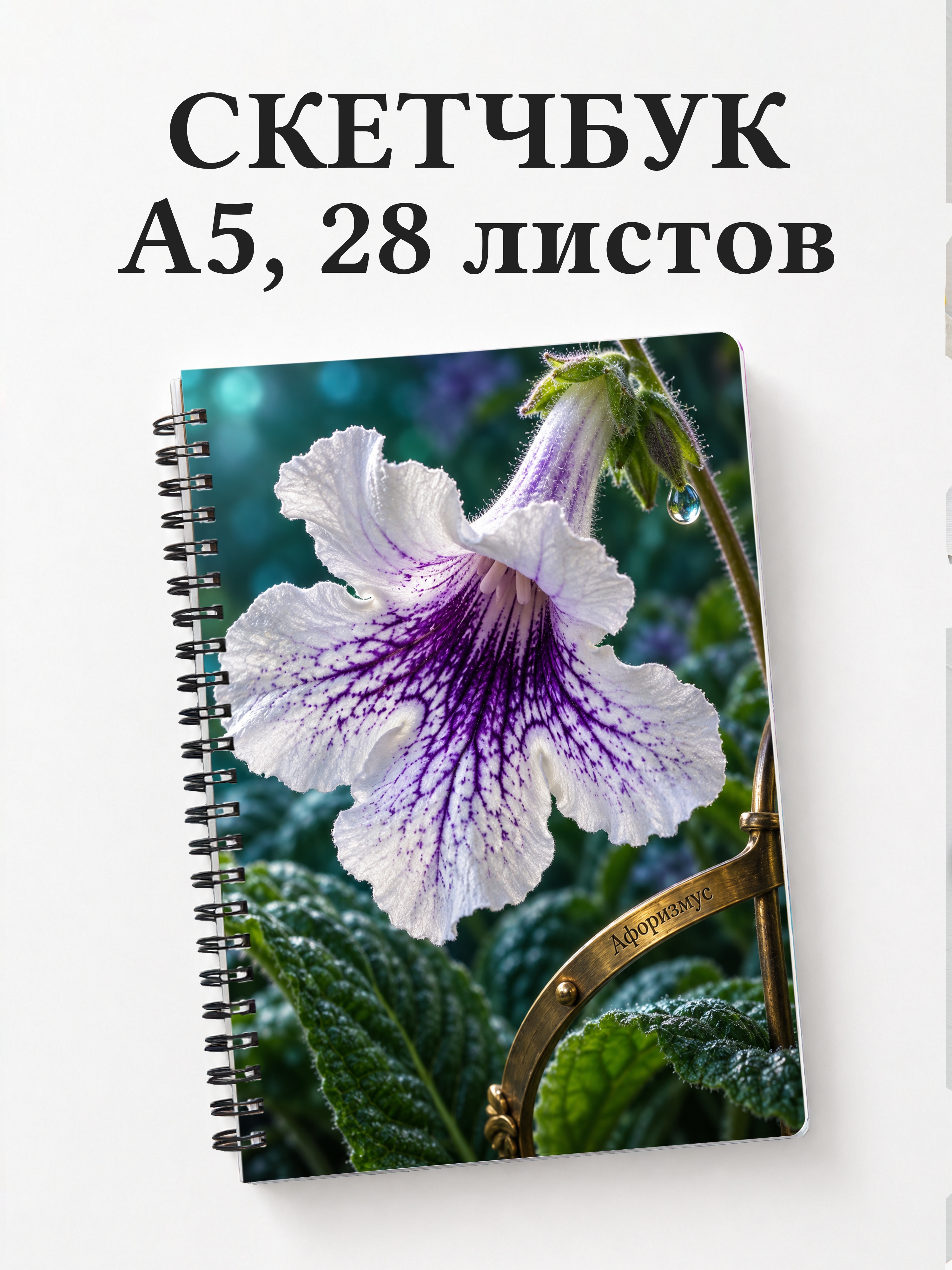 Скетчбук Стрептокарпусы
